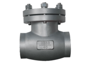 Cryogenic check valve