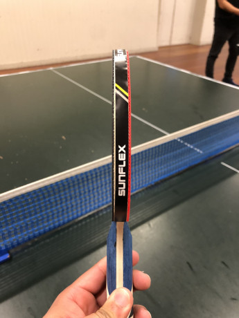 table-tennis-bat-big-2