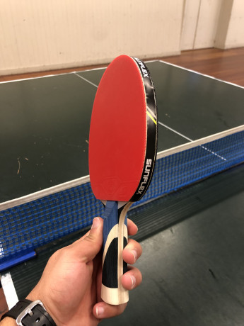 table-tennis-bat-big-0